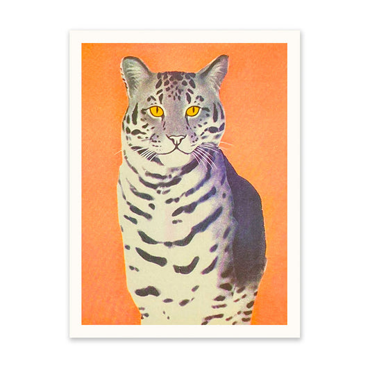 Wild Cat Art Print (11276)