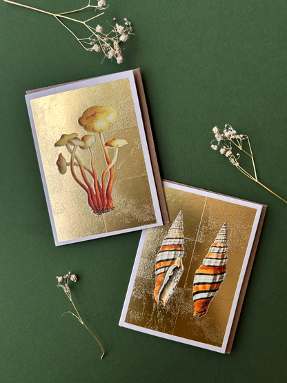 Shells Mini Greeting Card (14372)