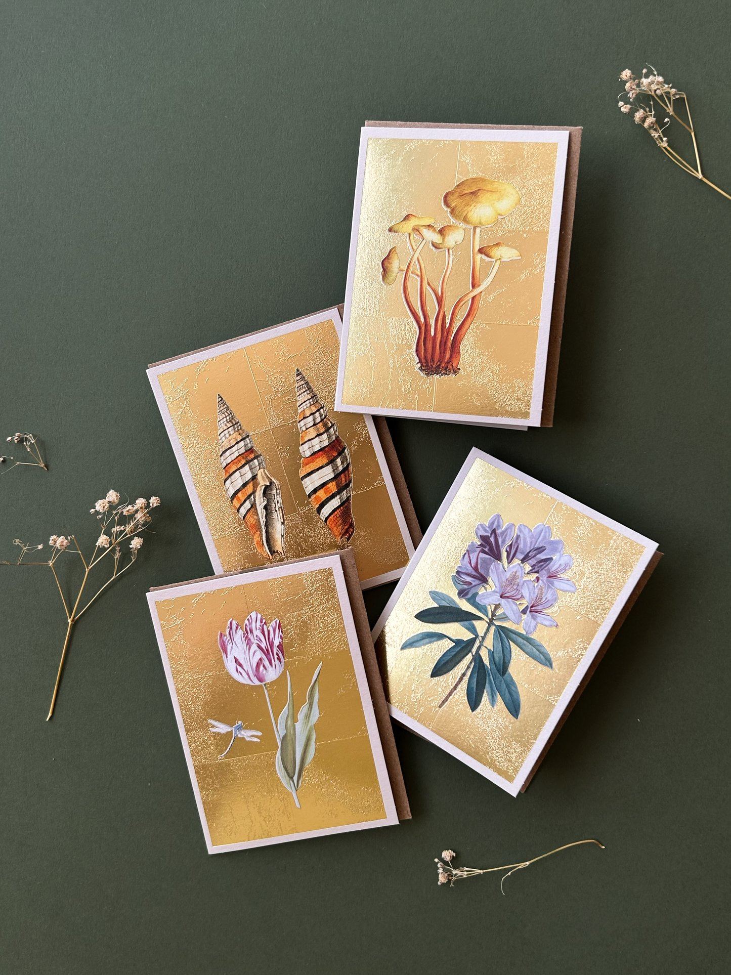Shells Mini Greeting Card (14372)
