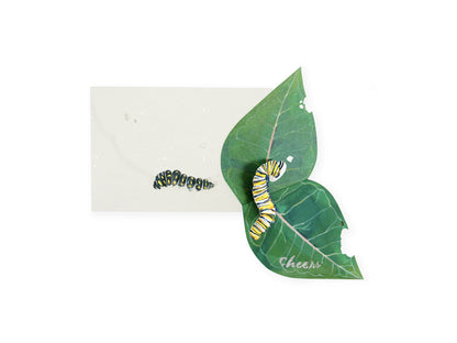 Caterpillar 3D Layer Greeting Card (9416)