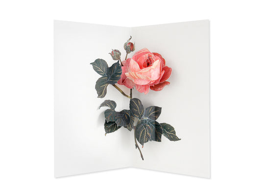Rose 3D Pop Up Greeting Card