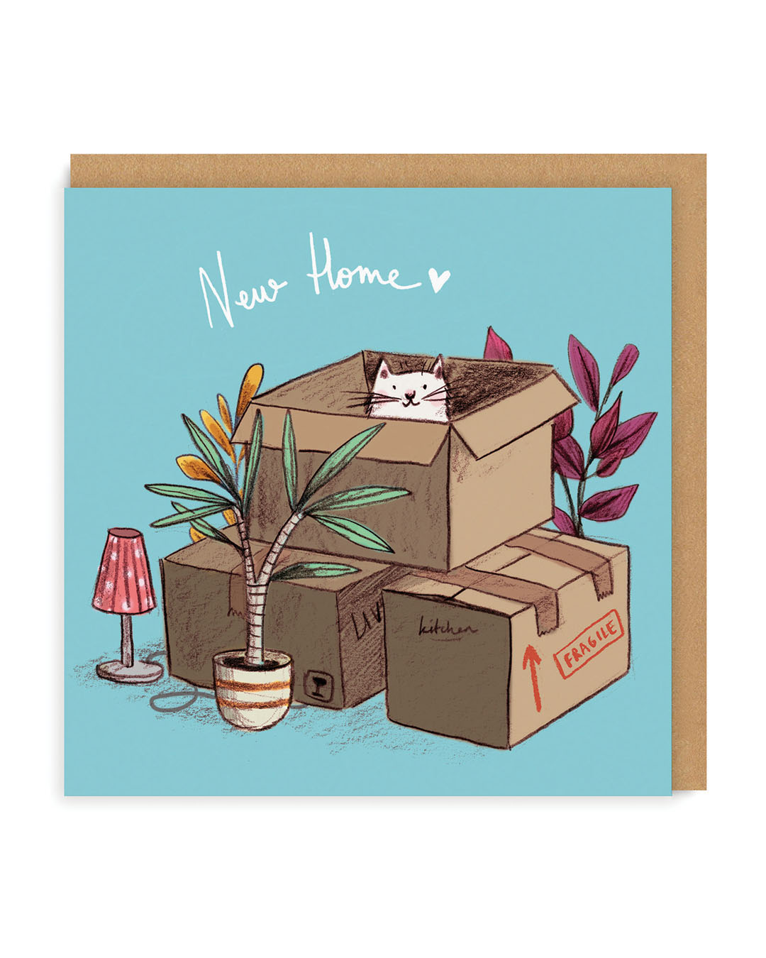 New Home Cat Boxes Greeting Card