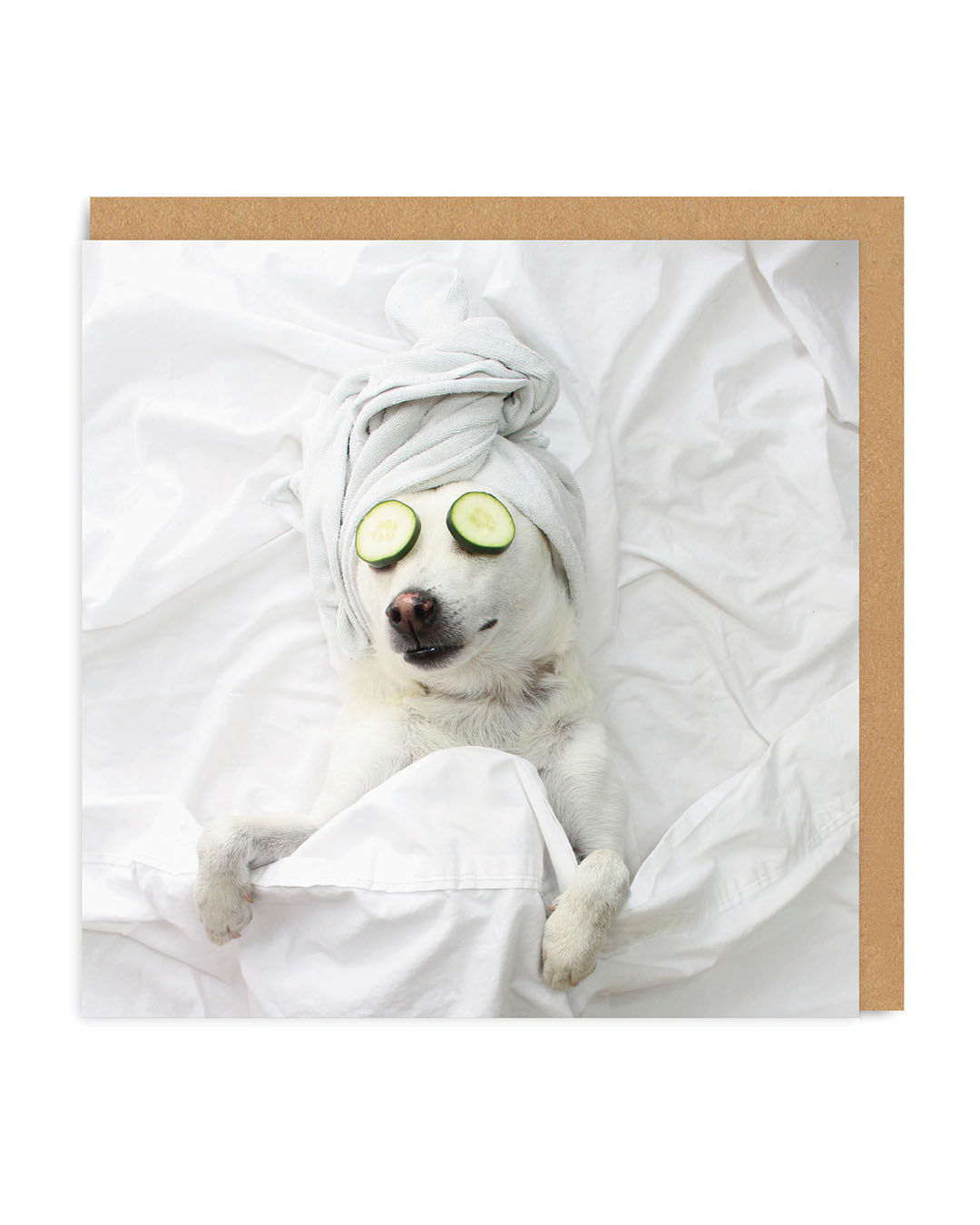Pampered Pooch Square Greeting Card