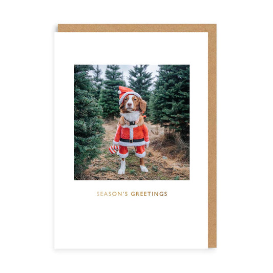 Maple Santa Greeting Card