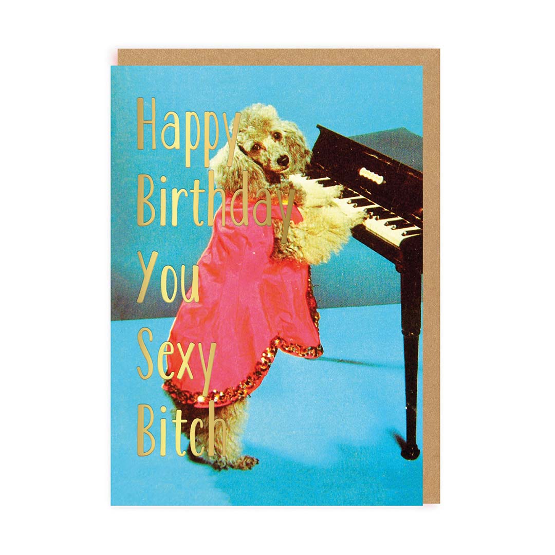 Sexy Bitch Happy Birthday Card