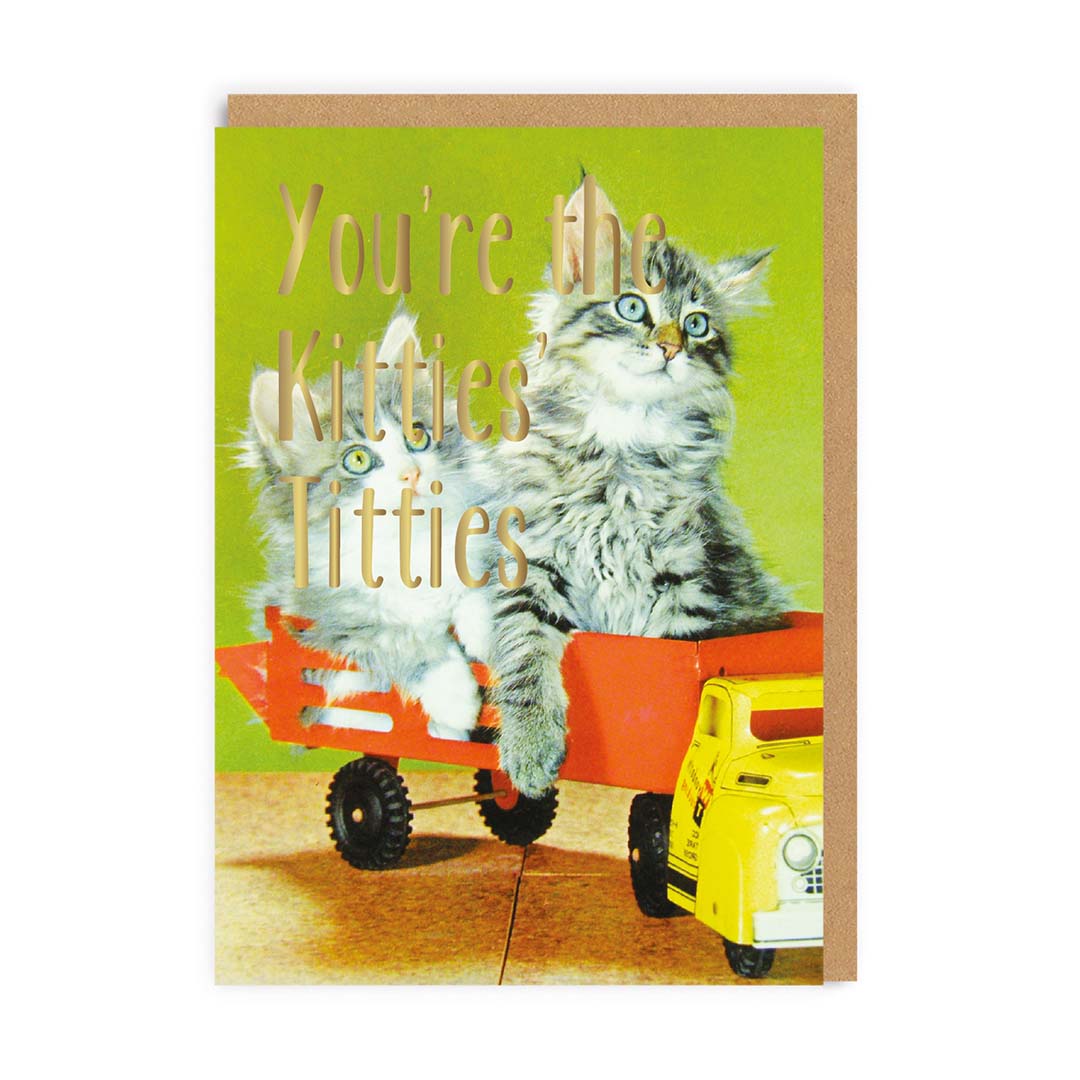Kitties Titties Greeting Card