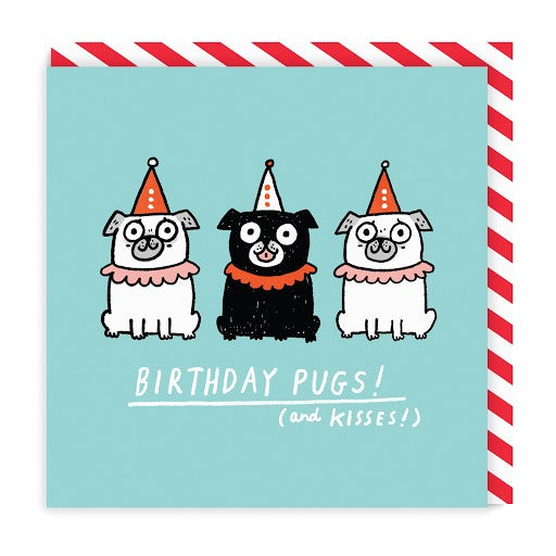Birthday Pugs Square Greeting Card (4291)